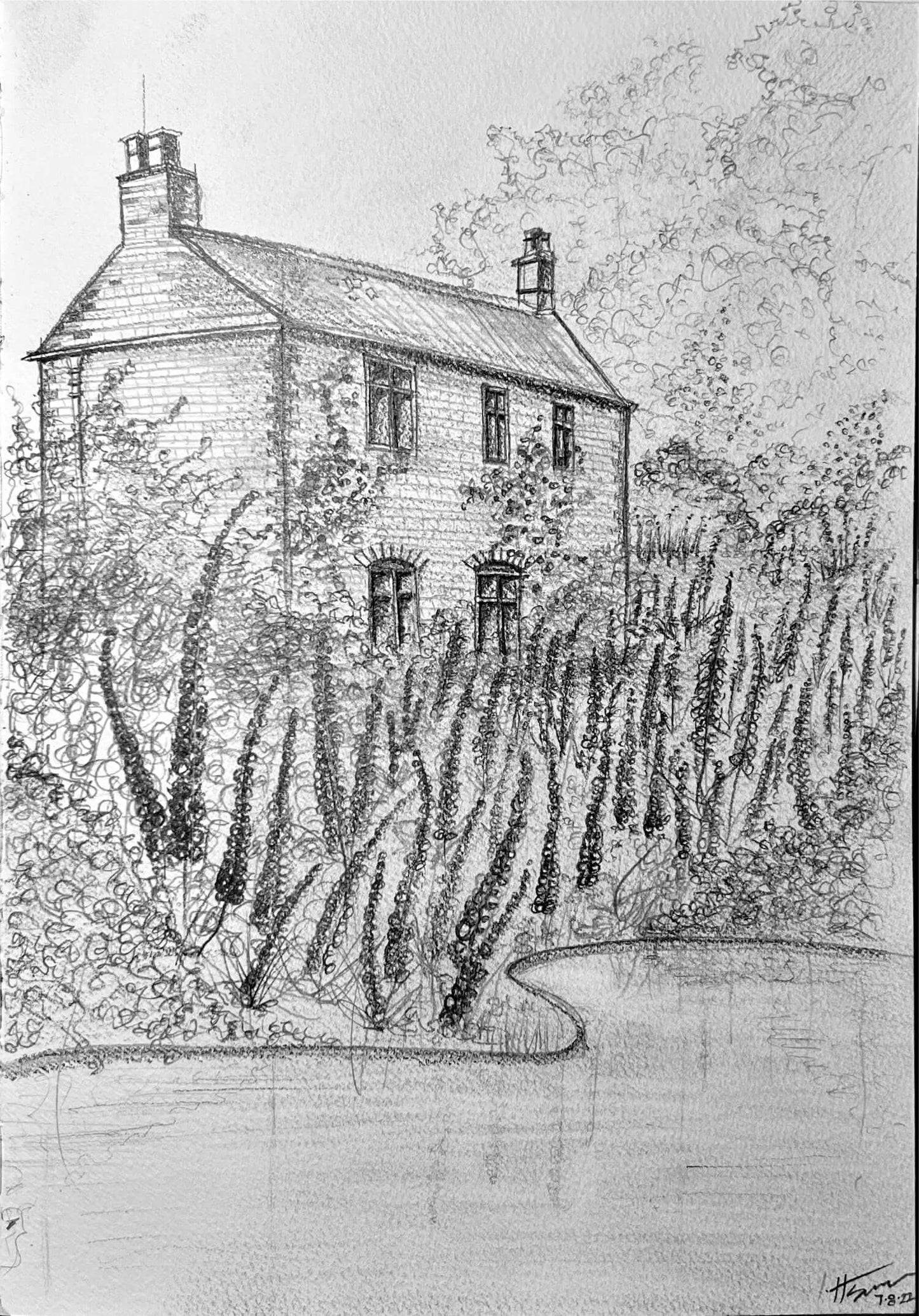 English Garden, 2021 | Pencil on Paper